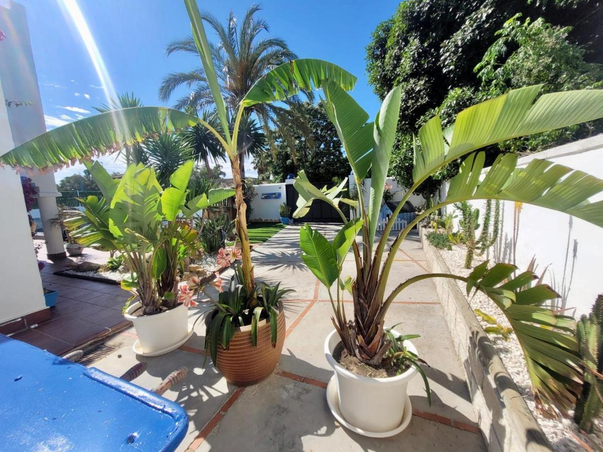 Gatu Premium Villa Lurberri Piscina Privada, 4 Dormitorios, 2 Banos, Parking , Jardines, " Preferente Mayores De 25 Anos Y Familias " In Y Barbacoa شيكلانا دي لا فرونتيرا المظهر الخارجي الصورة